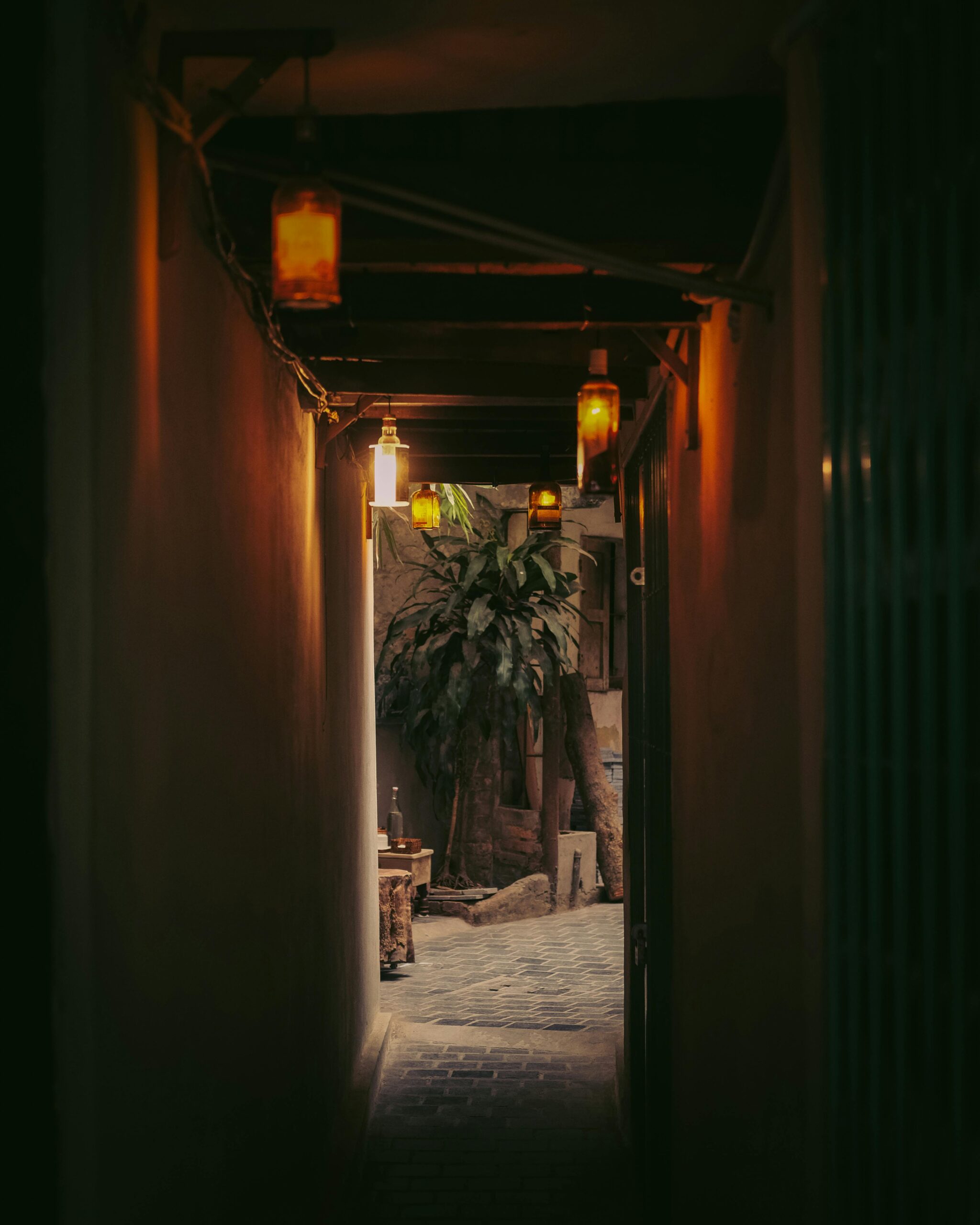 pexels-tuan-nguyen-1736874441-28751769